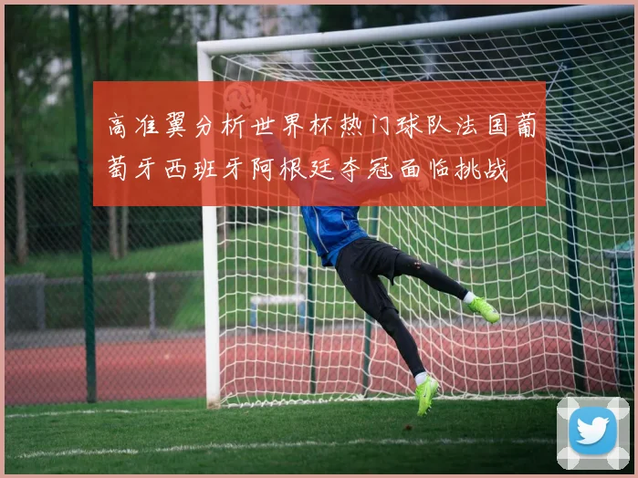 高准翼分析世界杯热门球队法国葡萄牙西班牙阿根廷夺冠面临挑战