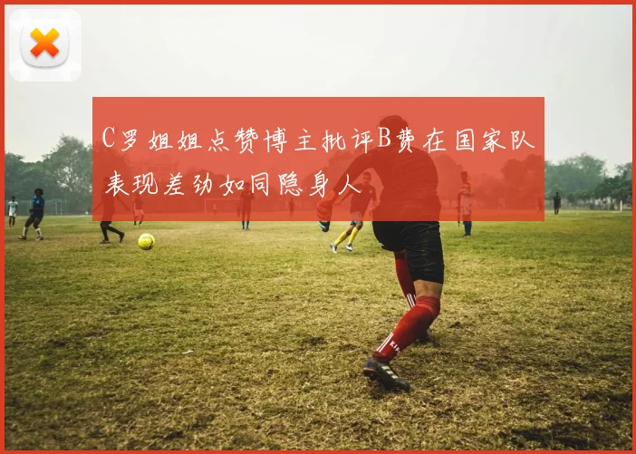 C罗姐姐点赞博主批评B费在国家队表现差劲如同隐身人