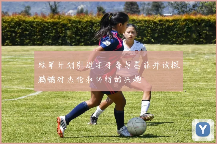 绿军计划引进字母哥与墨菲并试探鹈鹕对杰伦和怀特的兴趣